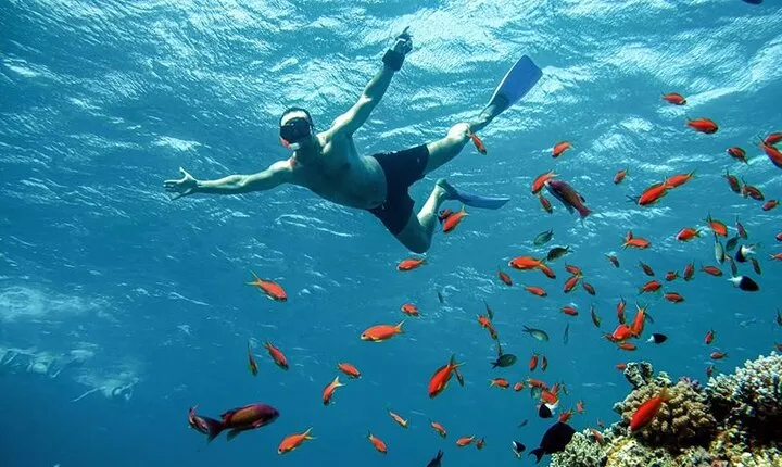 Hurghada: Abu Dabbab Wonder, Snorkeling with Beautiful Turtles