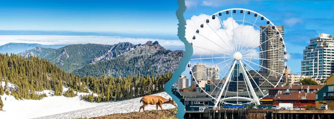 Seattle And Olympic National Park Self-Guided Audio Tour