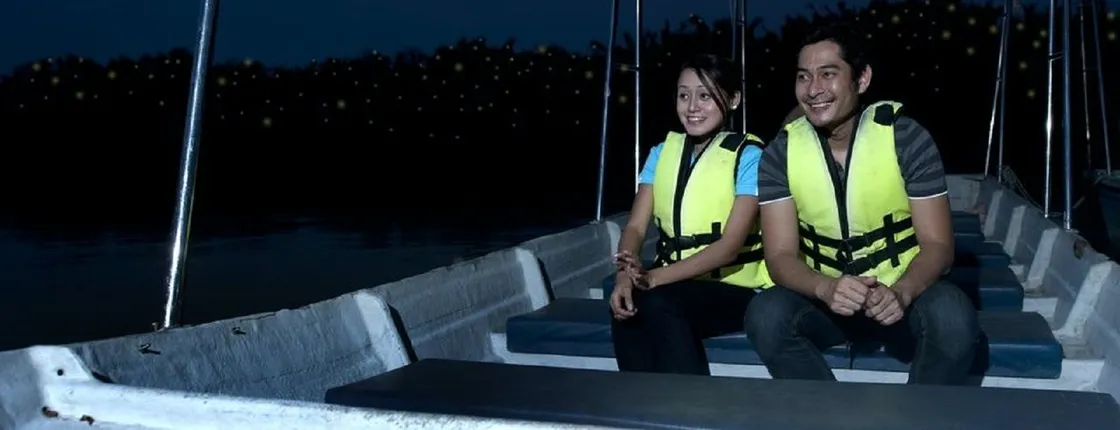Kuala Selangor Firefly Blinking private tour with seafood dinner