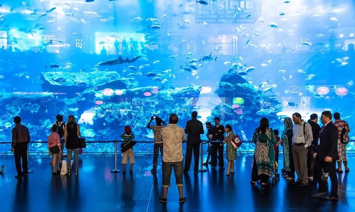 Dubai Aquarium and Underwater Zoo with Penguin Cove Tickets