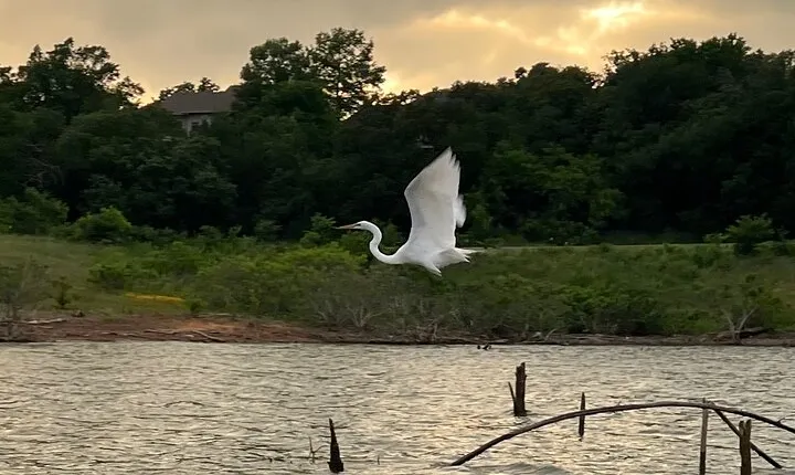Grapevine Lake Kayak Eco Tour
