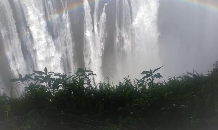 Victoria Falls And Chobe