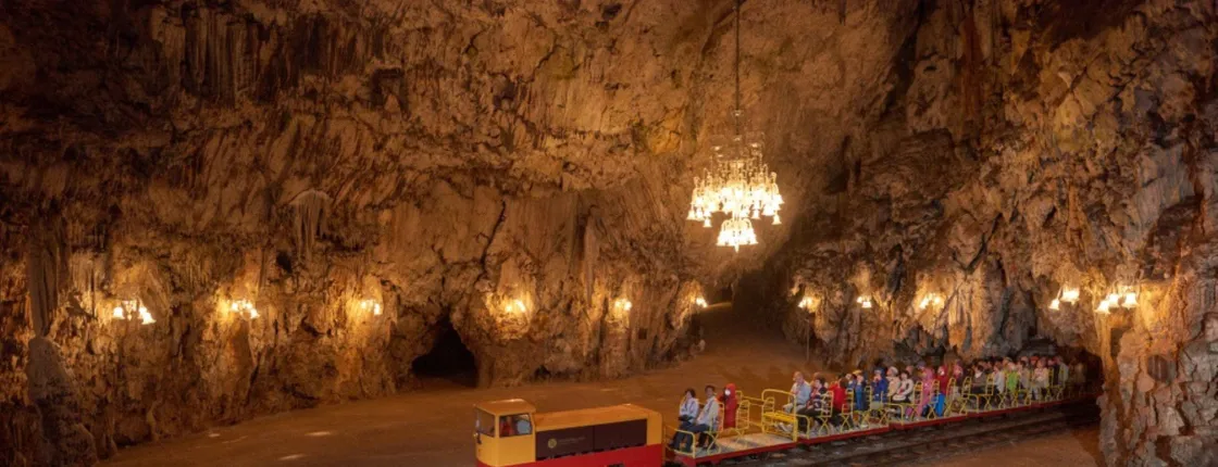 Lipica Stud farm and Postojna cave tour from the Slovenian Coast