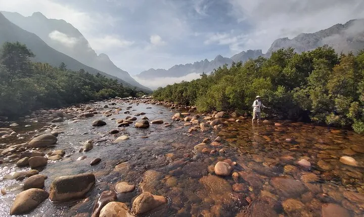 Fly Fishing in Cape Town for Five Hours
