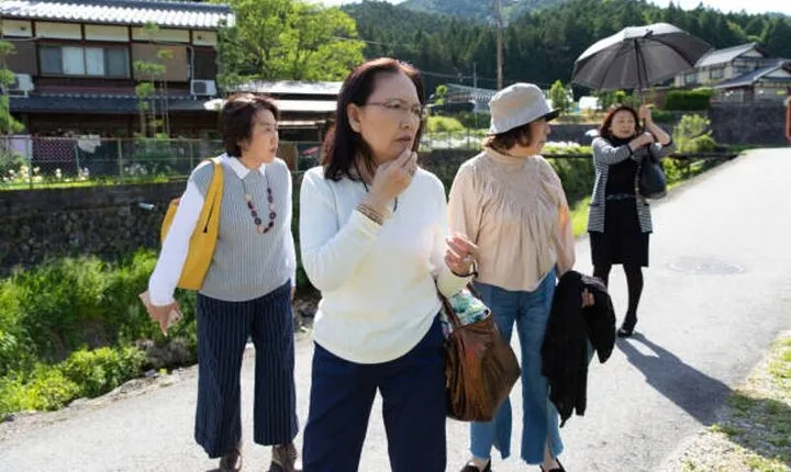 Journey Through Japan's Museums A Cultural Exploration 