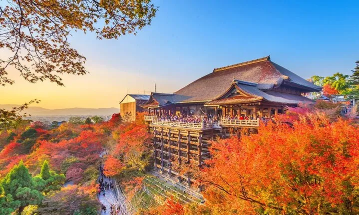 Kyoto Temples to Uji Cultural Day Tour from Osaka and Kyoto