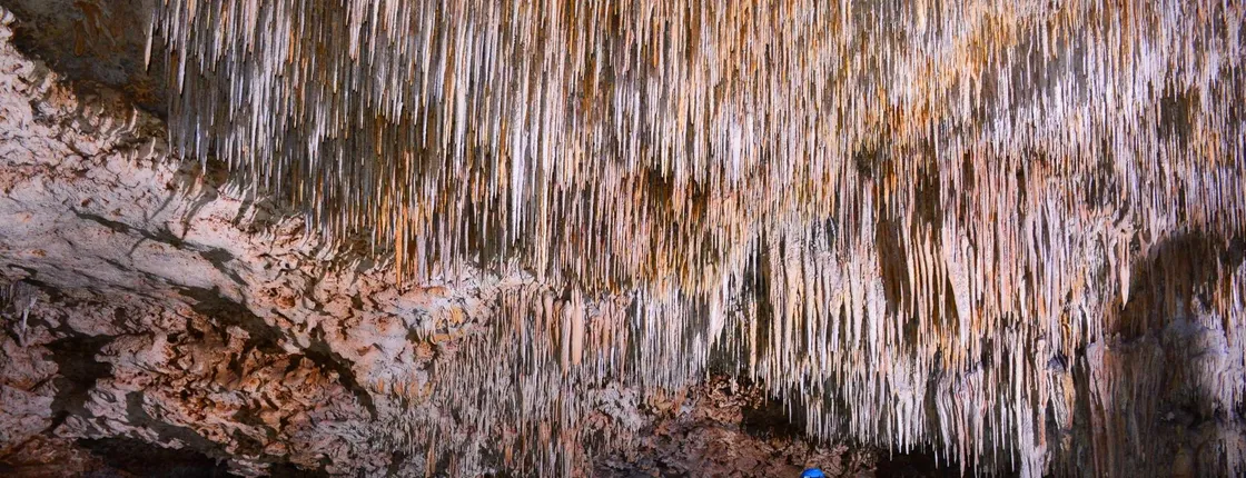 Snorkelling and Rio Secreto Natural Reserve tour