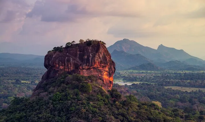 Sigiriya Rock and Wild Elephant Safari from Sigiriya