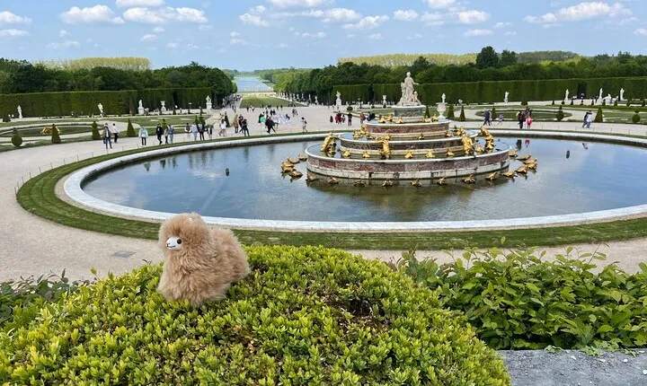 Versailles Half Day Small Group Tour Trianons and Gardens