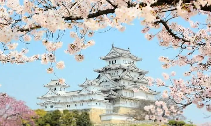 Himeji Half-Day Private Tour with Government-Licensed Guide
