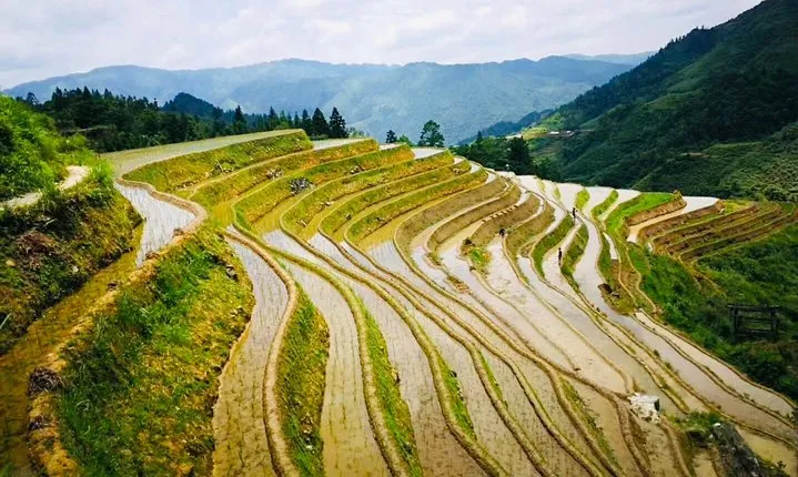 2-Day Private Tour to Longji Rice Terraces and Ping'an Village from Guilin