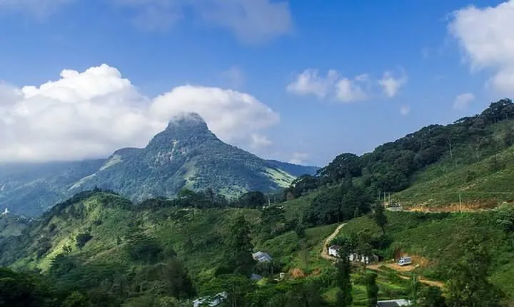 02 days Knuckles and Riverston Trekking from Kandy