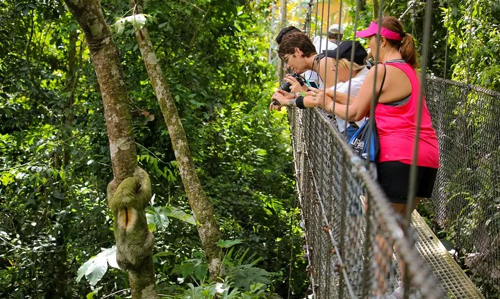 Arenal volcano, hanging bridges and sloth encounter tour.
