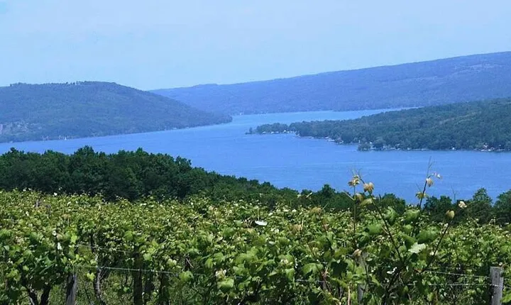 Keuka Lake Winery Tour