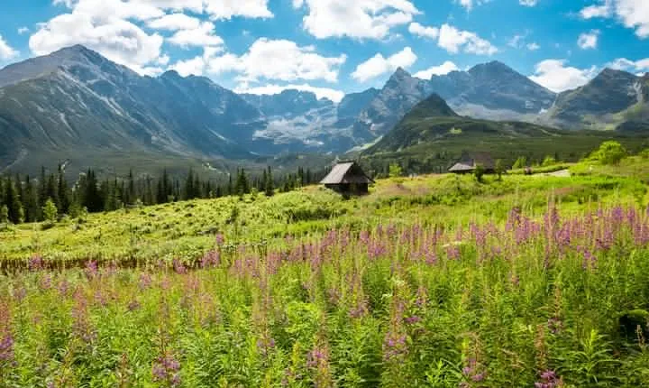 Zakopane & Tatra Mountains - Everyday Tour from Krakow
