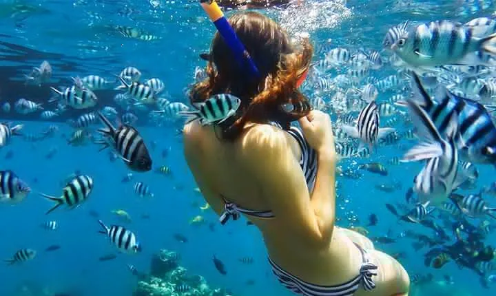 Bali Blue Lagoon Snorkeling with Private Transfer & Lunch