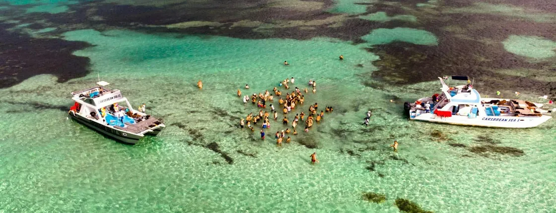 Wildon Caribbean Sea Sailing Trip