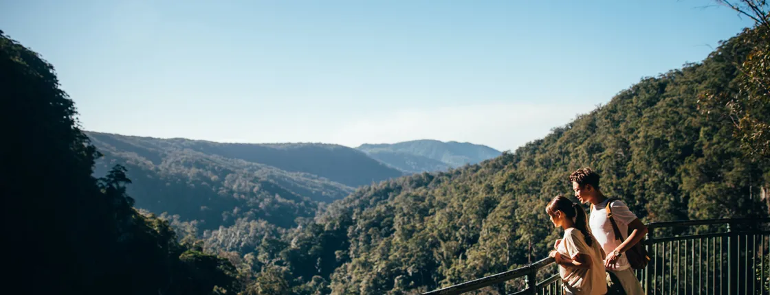 Natural Bridge and Springbrook tour