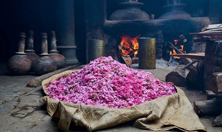 Experience Kannauj the perfume capital from Agra in Private Car