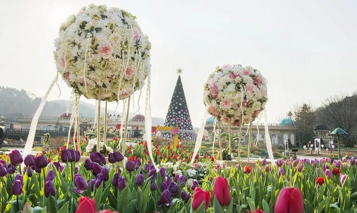Everland Resort (the world’s 7th-largest theme park)