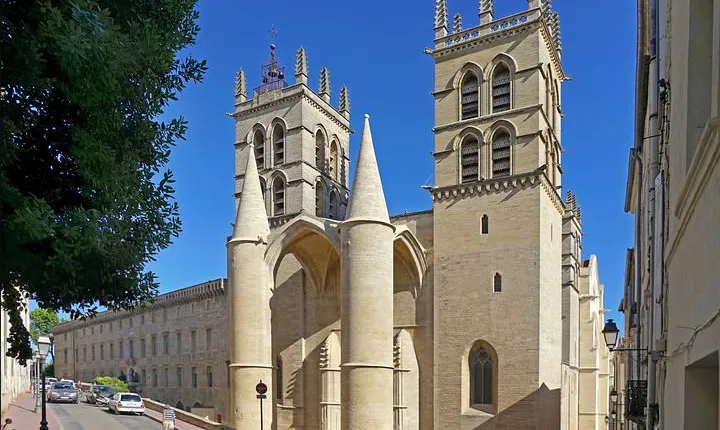 Private 2-hour Walking Tour of the Historical Center of Montpellier
