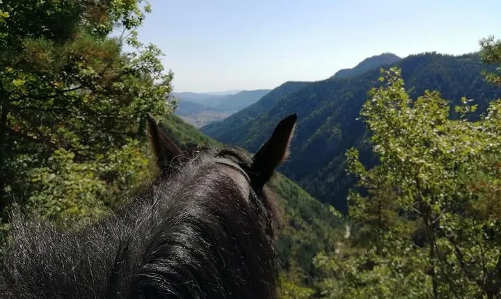 Half Day Horse Riding to Soskovcheto Preserve in Smolyan
