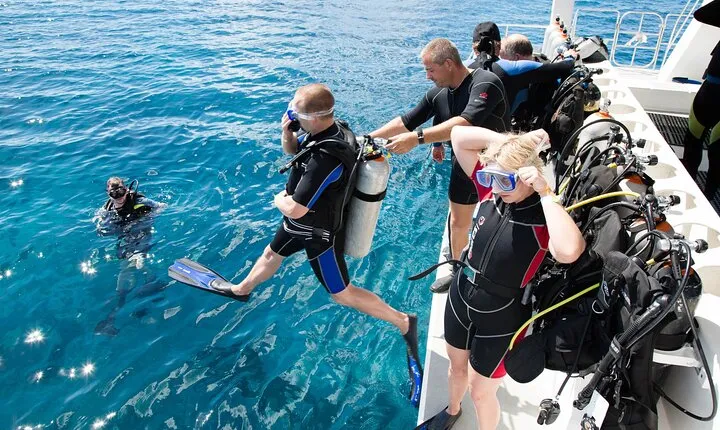 8 Hours Snorkeling with Lunch and Transfer in Sharm El-Sheikh