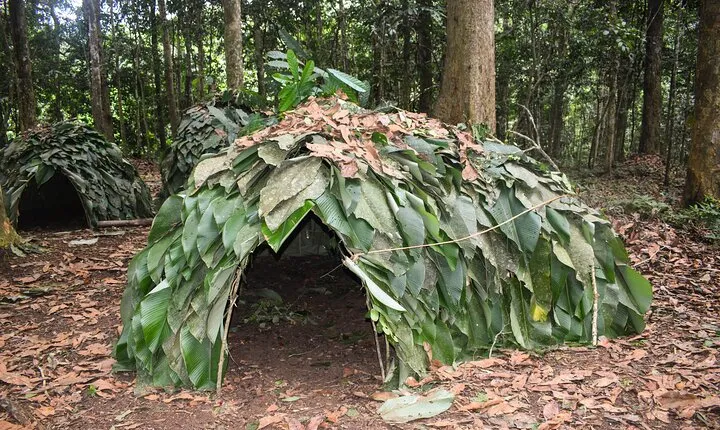 Wildlife & Baka Pygmies: One Week in the Ngoyla and Dja Reserves