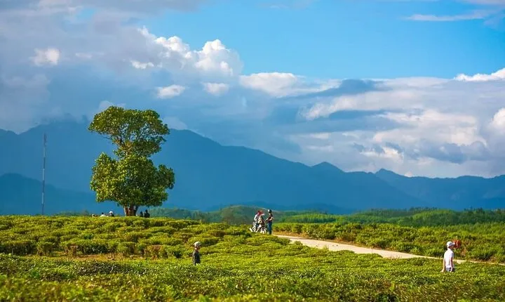 Private Guided Tour: A Spring Day in Dong Giang from Da Nang
