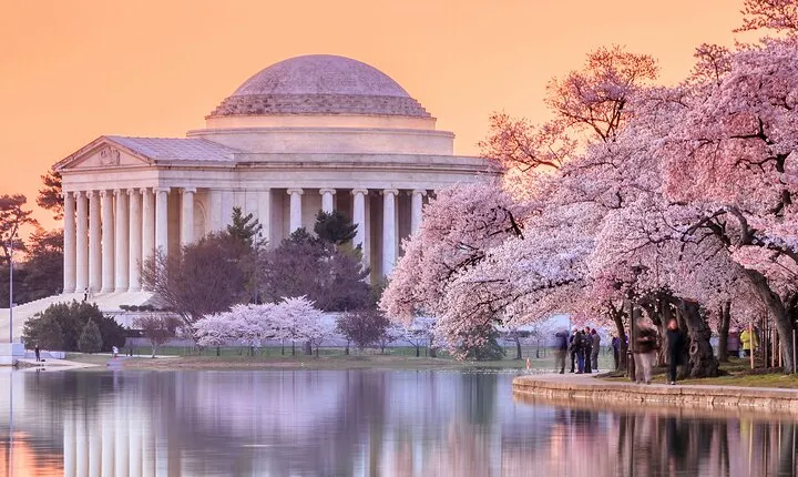 Cherry Blossoms, City Tour, Seasonal Cruise, Optional Tickets