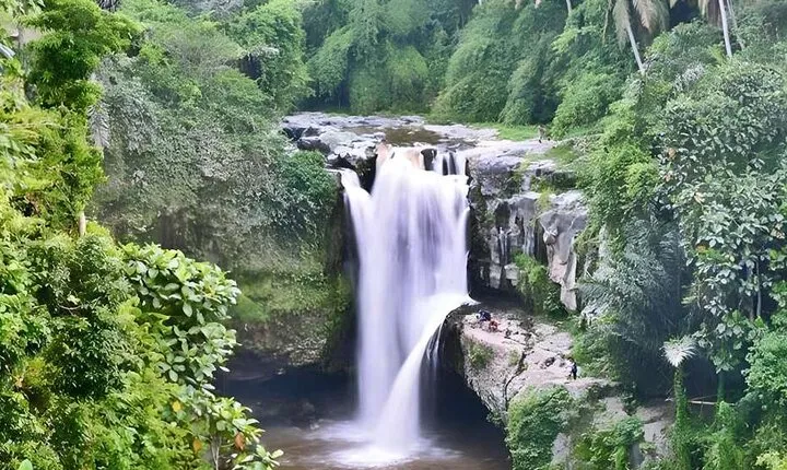 6 Hour Private Tour in Ubud