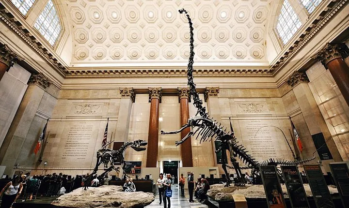 Met & Natural History Museum Skip-the-Line Combo Tour - Semi-Private 8ppl Max