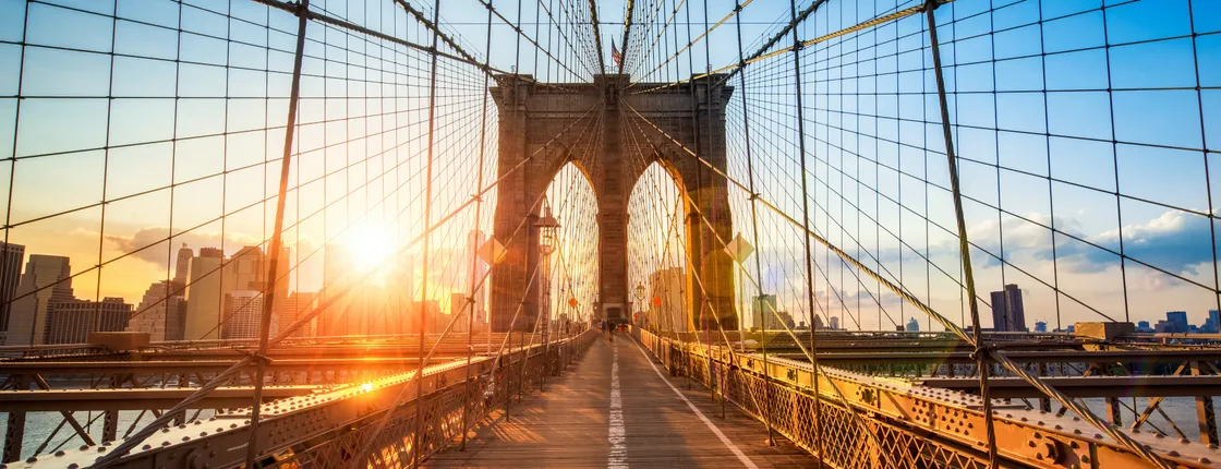 Private Tour New York City Boroughs: Brooklyn, The Bronx, Harlem & Queens with Coney Island