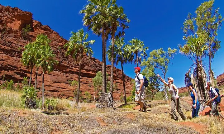 Palm Valley 4WD Tour from Alice Springs