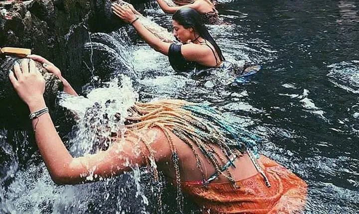 Best Of Ubud Full Day Private Guided Tour