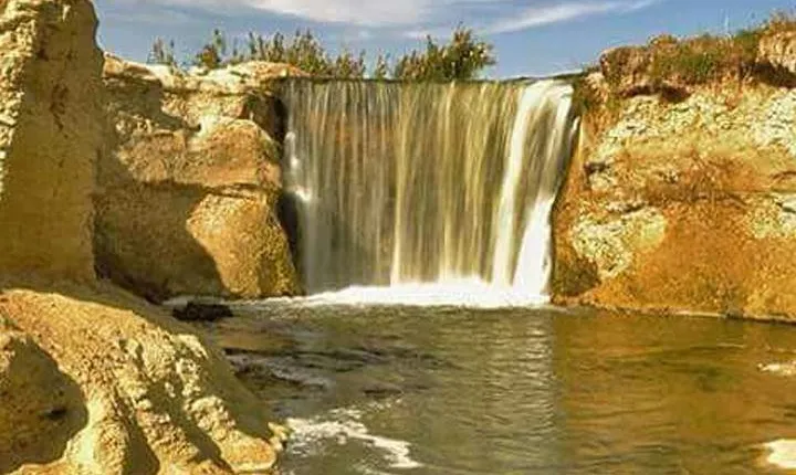 Over Day tour to Fayoum Oasis and Wadi El Hitan from Cairo or Giza
