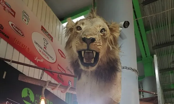 Private Tour of the Market Routes of Mexico City