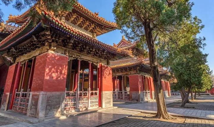Qufu Private Walking Tour to Confucius Temple, Kong Mansion and Forest