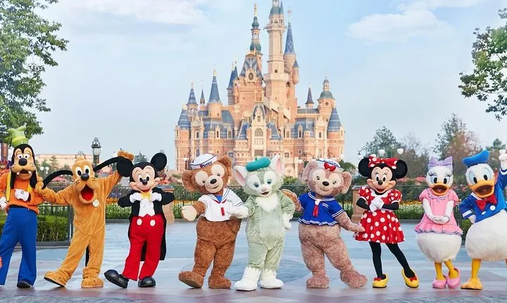 1 Day-Pass for Disneyland Shanghai and Private Transfer Package