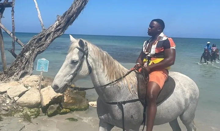 Private Dunns River Falls and Horse Back Riding