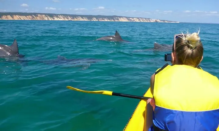 Epic Kayak With Dolphins & Wildlife - 4WD Beach Adventure Noosa