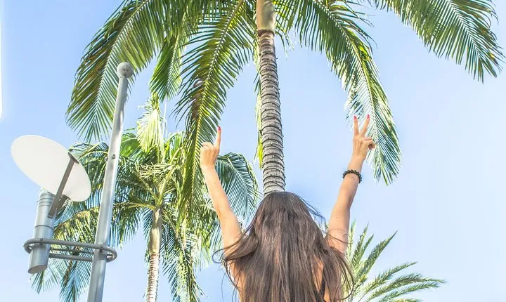LA Tour: Downtown, Hollywood, Rodeo Drive, Farmer's Market