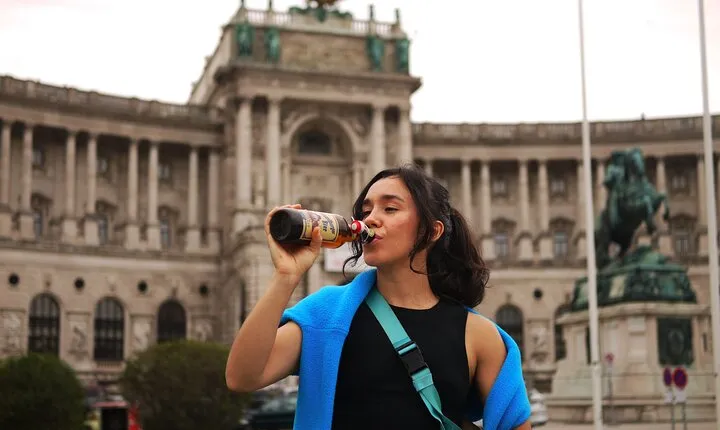 Friday Night Pub Crawl for Professionals in Vienna, Austria