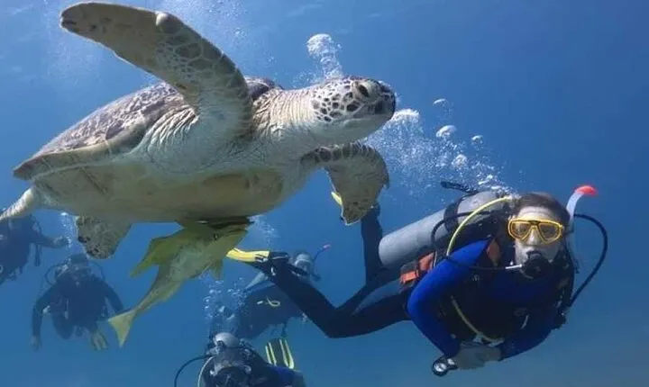 Full Day Experience in Marsa Mubarak with Diving and Lunch