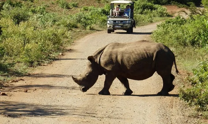 2 Day South African Wildlife Tour with 4x4 Safari from Cape Town