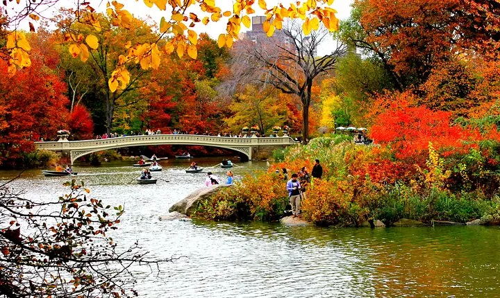 Hire Photographer, Professional Photo Shoot - Central Park NY