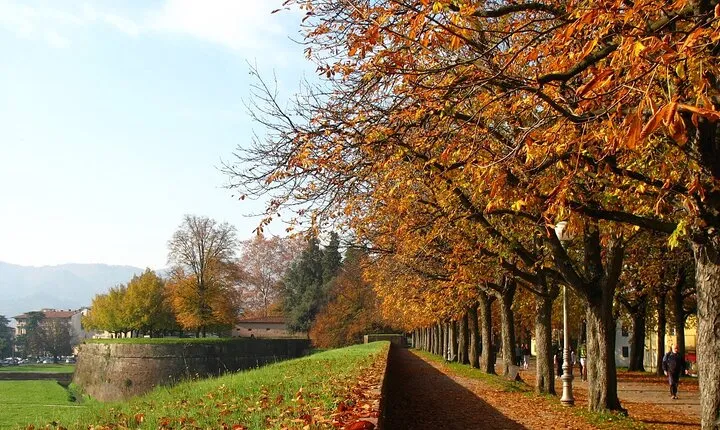 Walking Ramparts Tour in Lucca