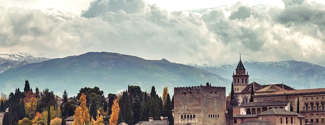 Alhambra and Nasrid Palaces tour from Malaga