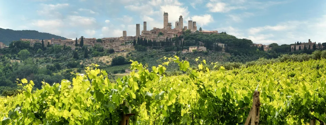Horseback riding and winery lunch experience in San Gimignano