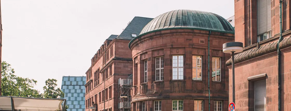 Exclusive private guided tour through the history of Freiburg with a local